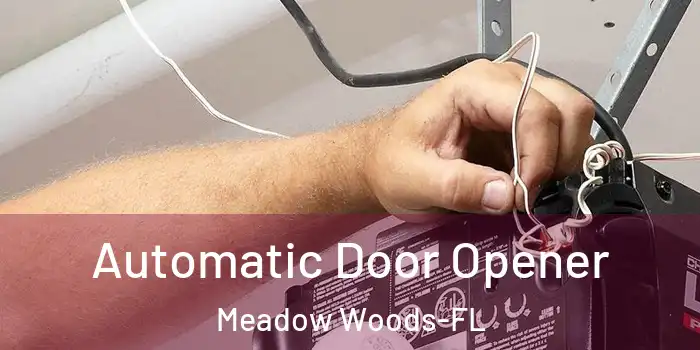 Automatic Door Opener Meadow Woods-FL