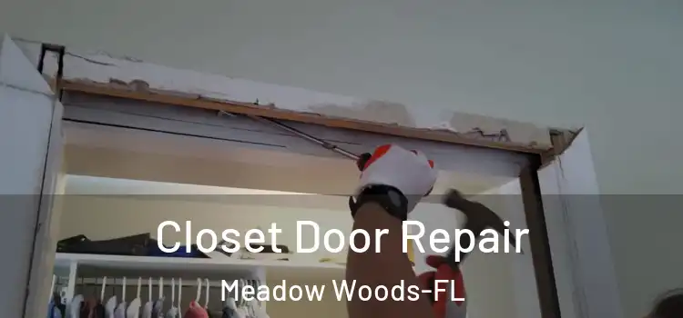  Closet Door Repair Meadow Woods-FL