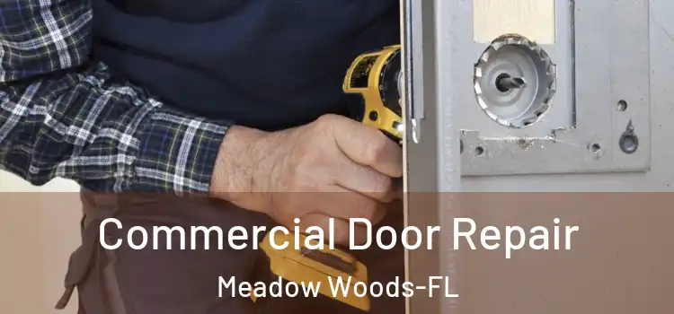 Commercial Door Repair Meadow Woods-FL