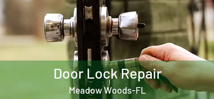  Door Lock Repair Meadow Woods-FL