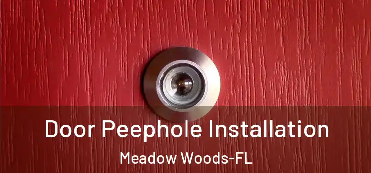  Door Peephole Installation Meadow Woods-FL