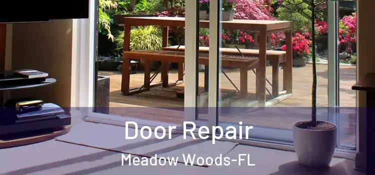  Door Repair Meadow Woods-FL