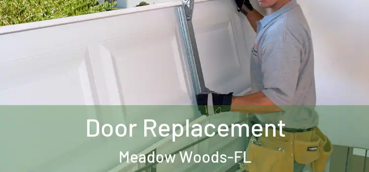 Door Replacement Meadow Woods-FL