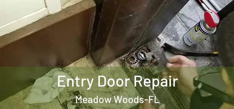 Entry Door Repair Meadow Woods-FL