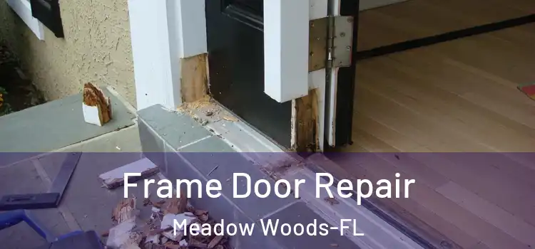 Frame Door Repair Meadow Woods-FL