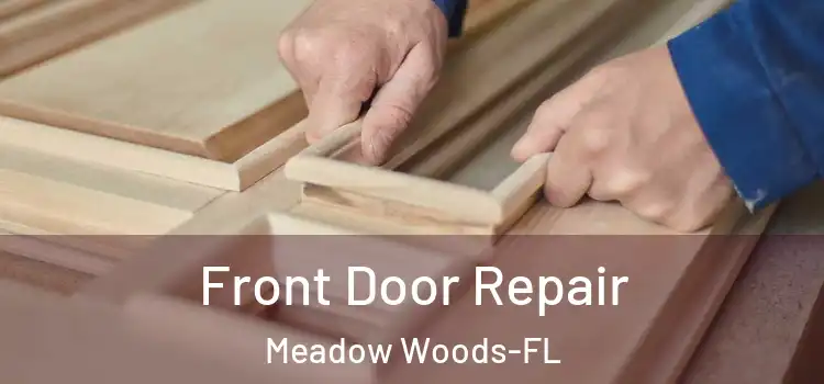  Front Door Repair Meadow Woods-FL