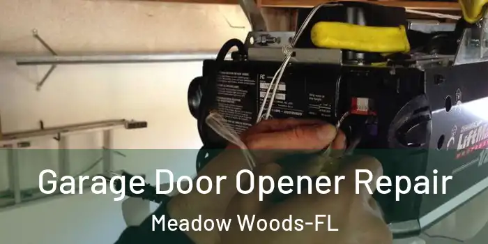  Garage Door Opener Repair Meadow Woods-FL