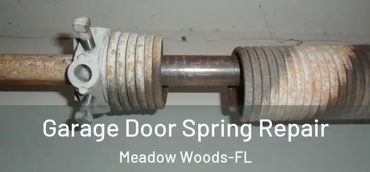 Garage Door Spring Repair Meadow Woods-FL