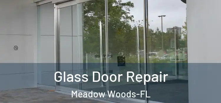  Glass Door Repair Meadow Woods-FL