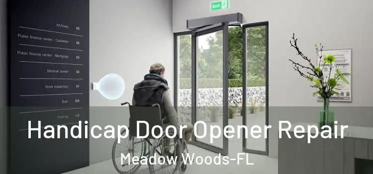  Handicap Door Opener Repair Meadow Woods-FL