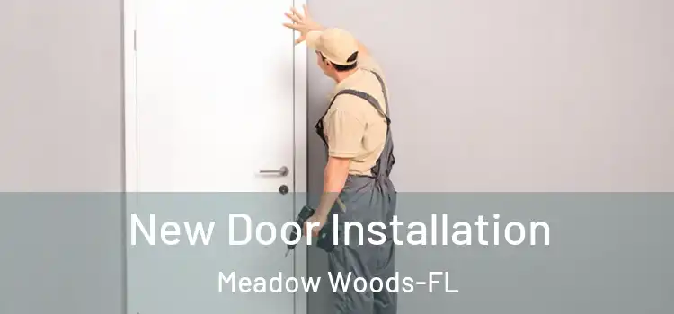  New Door Installation Meadow Woods-FL