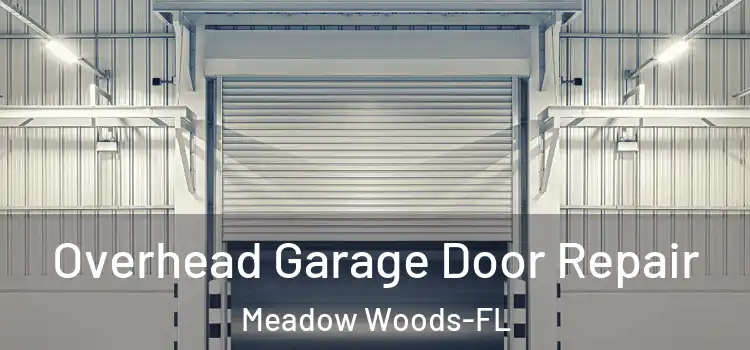  Overhead Garage Door Repair Meadow Woods-FL