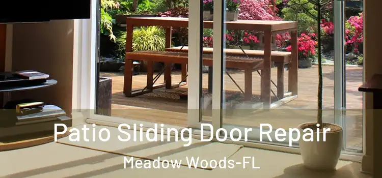 Patio Sliding Door Repair Meadow Woods-FL