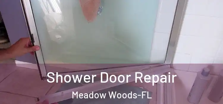  Shower Door Repair Meadow Woods-FL