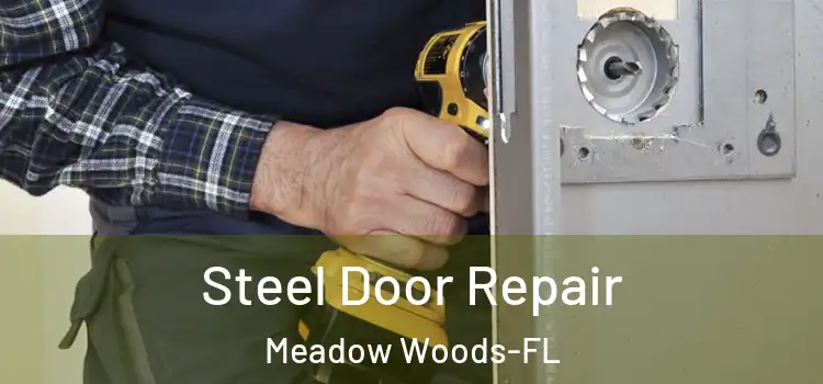 Steel Door Repair Meadow Woods-FL
