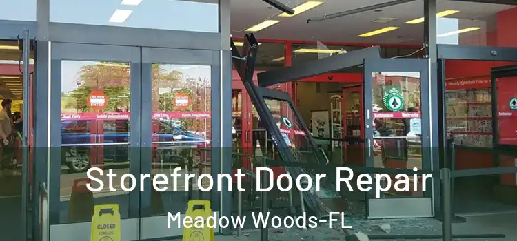  Storefront Door Repair Meadow Woods-FL